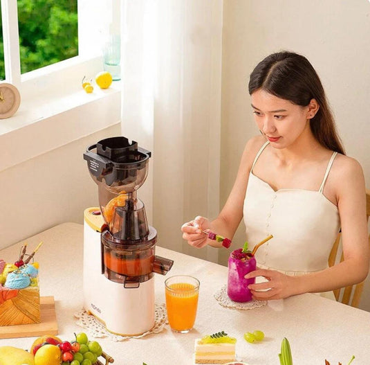 Household Slag Juice Separation Juicer